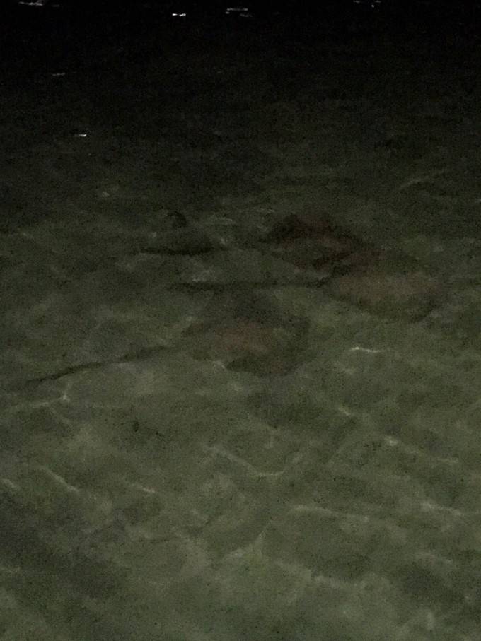 丽世岛LUX